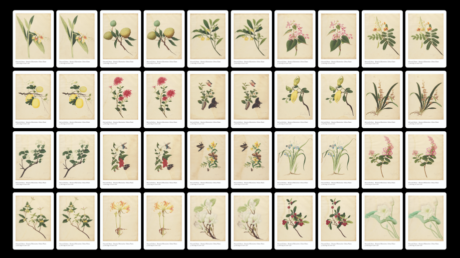 Methods of cataloguing weekly update